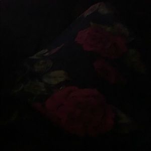 Meet your Posher, Venise